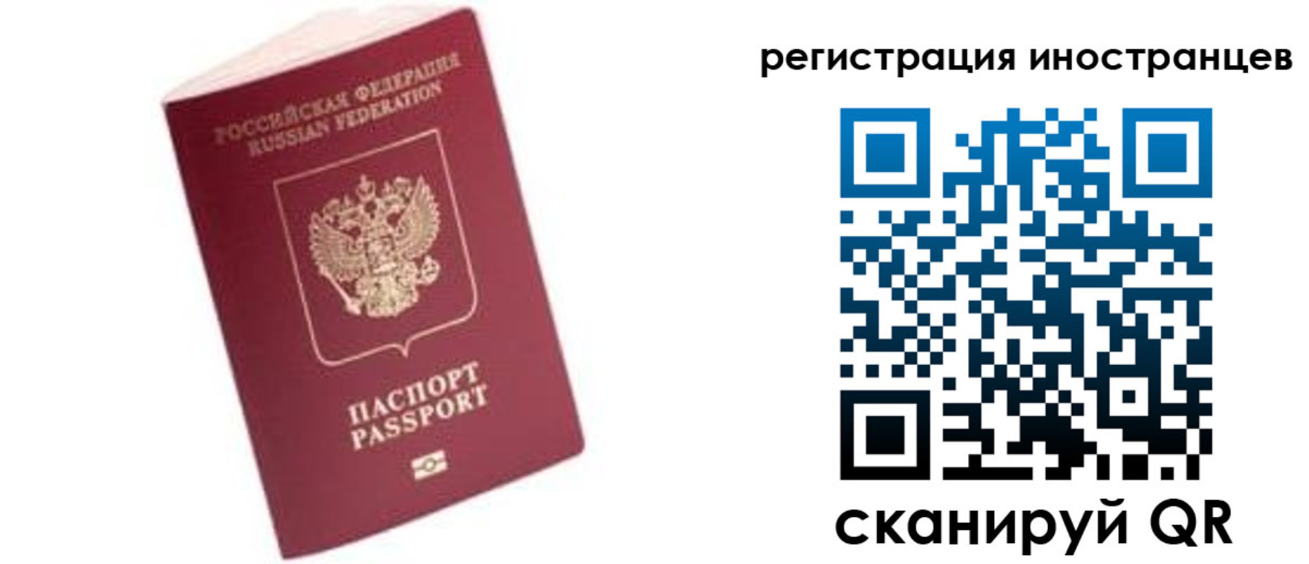 прописка гарантия в Полярных Зорях